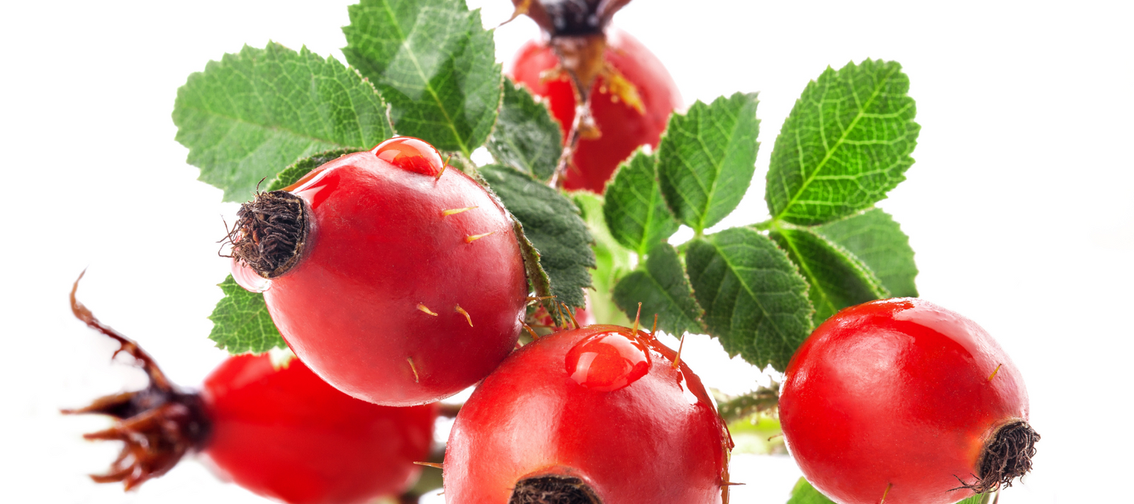 Rosehip Seed Oil