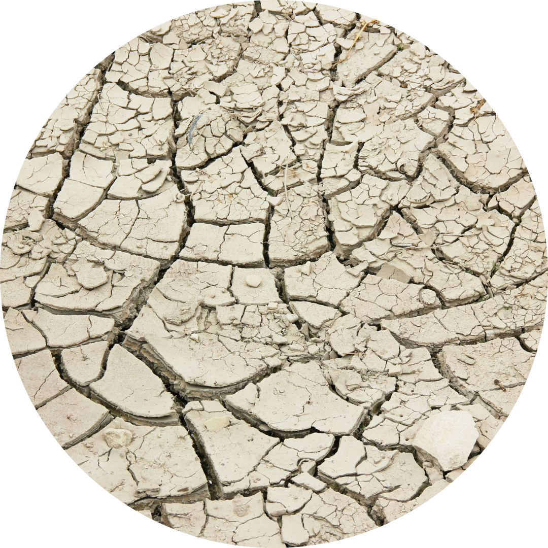 Dry Skin